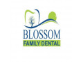 blossom-family-dental-small-0